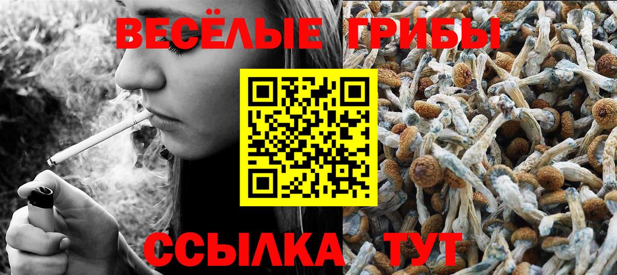 Галлюциногенные грибы MAGIC MUSHROOMS Клинцы
