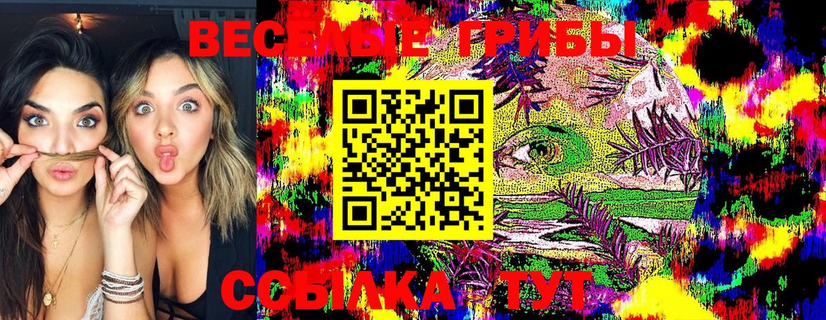 Псилоцибиновые грибы прущие грибы Клинцы